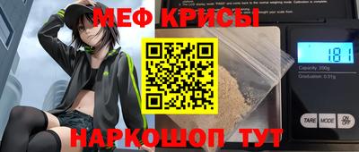 мдпв Камышлов
