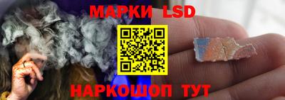 мдпв Камышлов