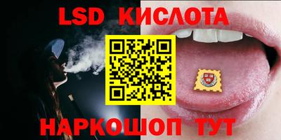 мдпв Камышлов
