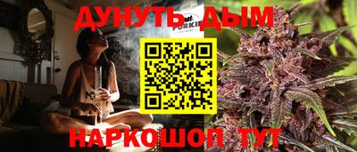 мдпв Камышлов