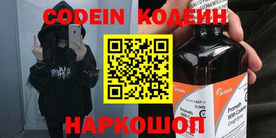 мдпв Камышлов