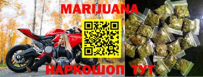 мдпв Камышлов