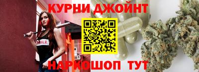 мдпв Камышлов