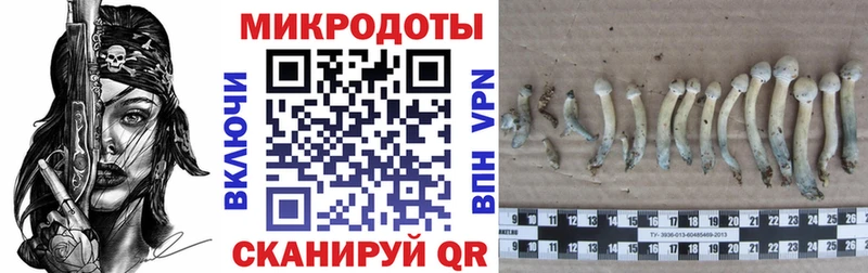 Псилоцибиновые грибы прущие грибы  Острогожск 
