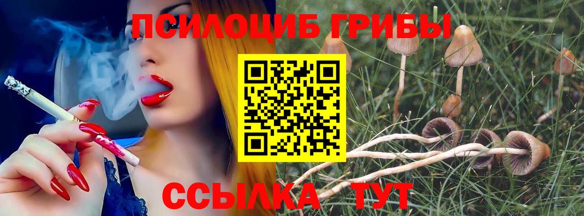 Галлюциногенные грибы мицелий  Острогожск 