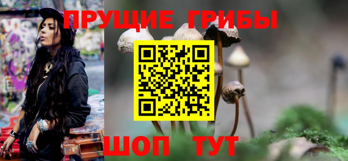 Псилоцибиновые грибы мицелий  Псилоцибиновые грибы прущие грибы  Острогожск  Вход с VPN 