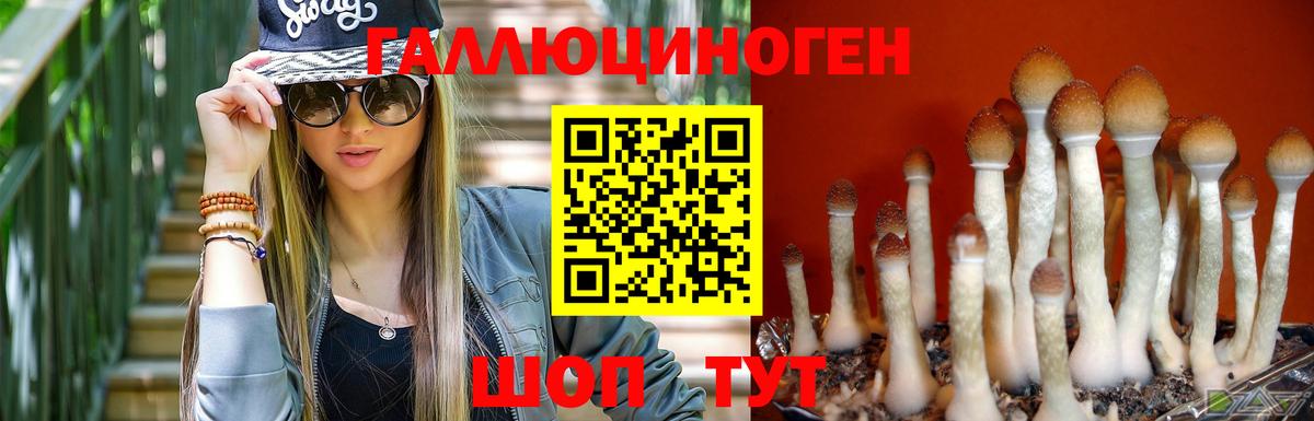 Псилоцибиновые грибы мухоморы Острогожск